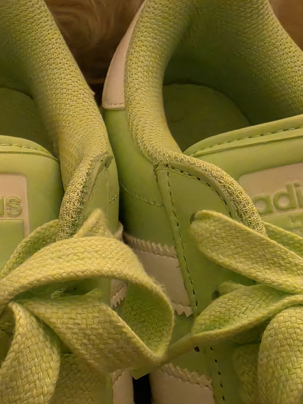 Adidas Superstar Sneakers in Mint Green & White - Picture 8 of 9